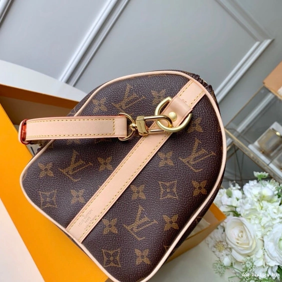 Aaa replica bags Louis SPEEDY Vuitton 25 BANDOULIERE 0821